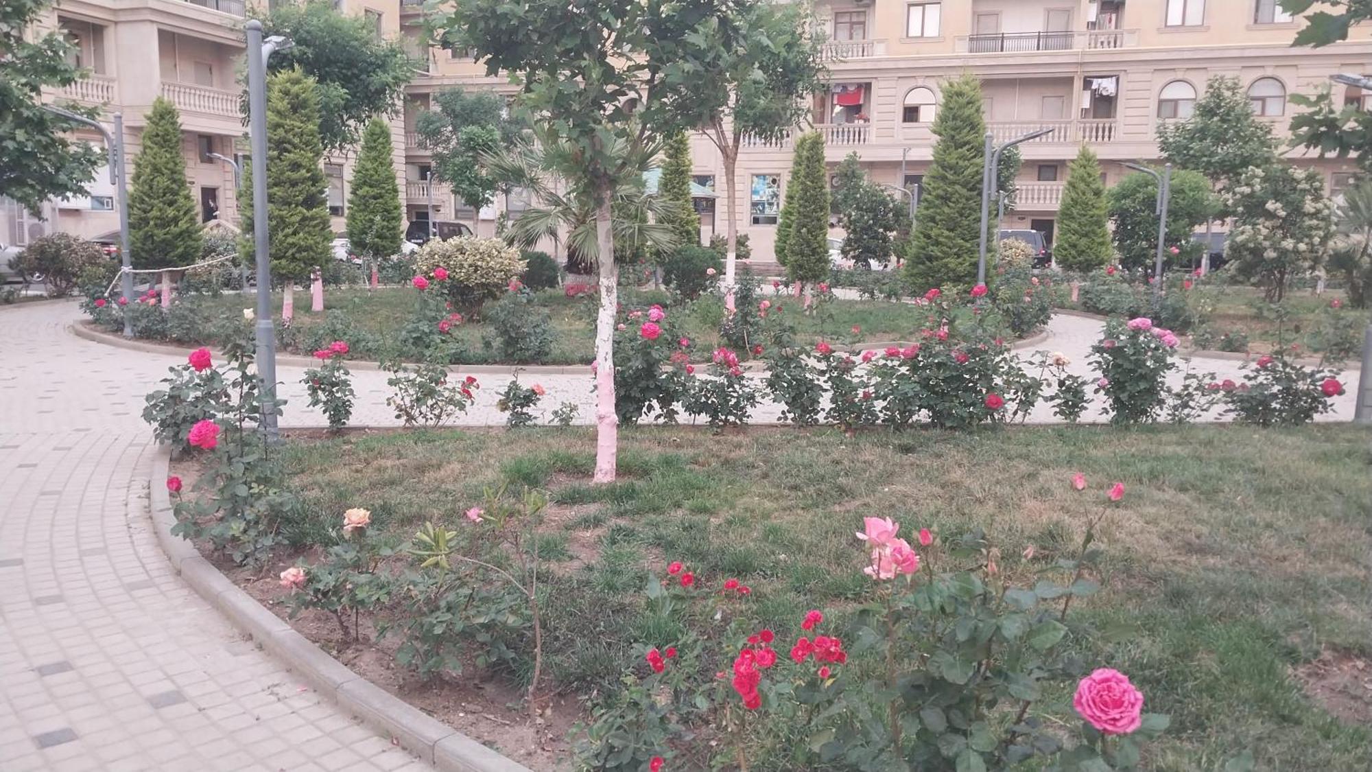 Banu House Daire Sumgayıt Dış mekan fotoğraf